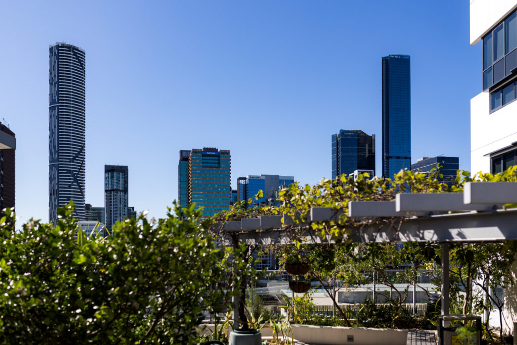 A photo of the Brisbane skyline, from the view of the rooftop at Brisbane Common Ground.